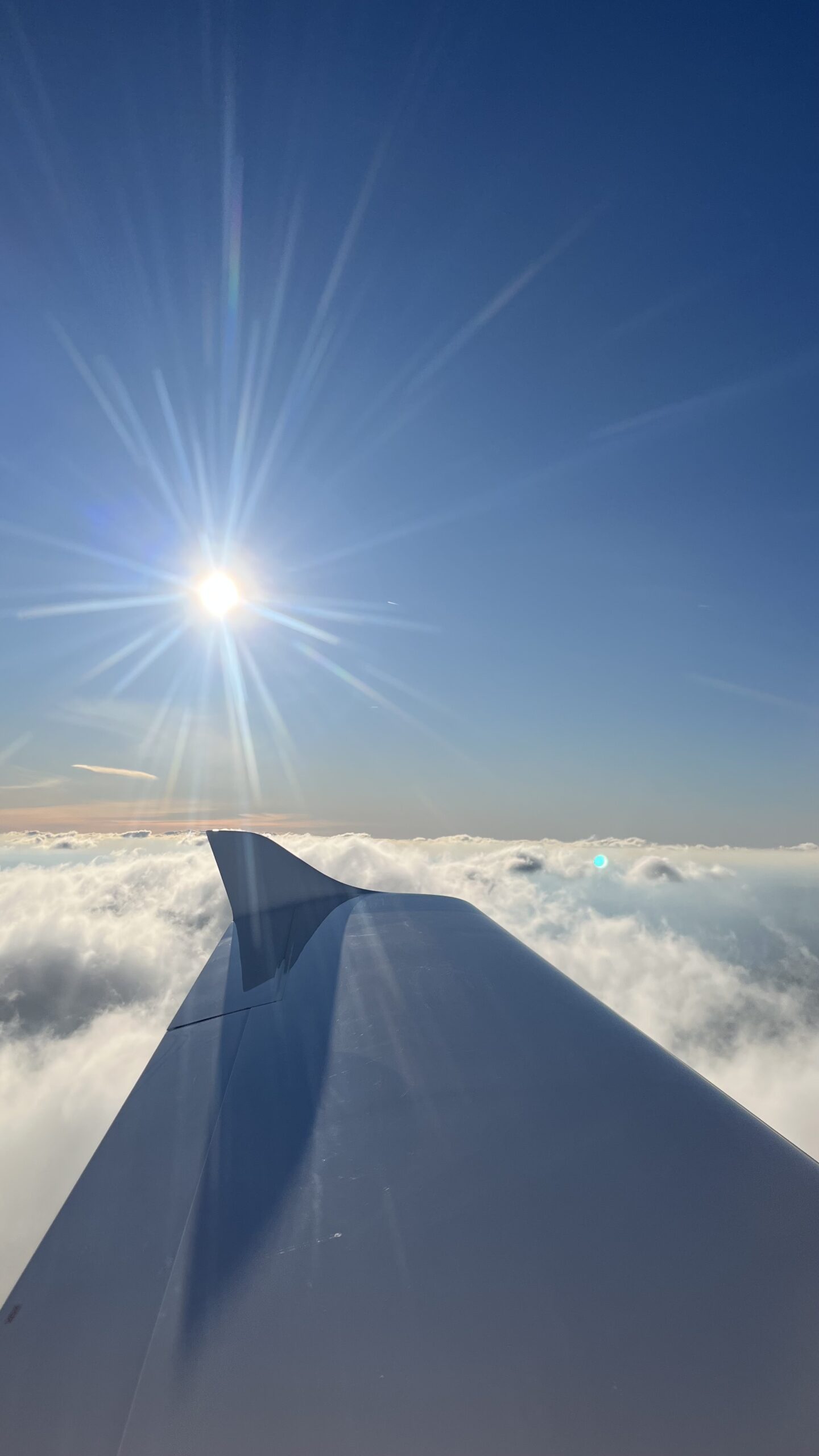 dbbd3fb4-423a-49ab-a243-a190bb832e60_IMG_3563