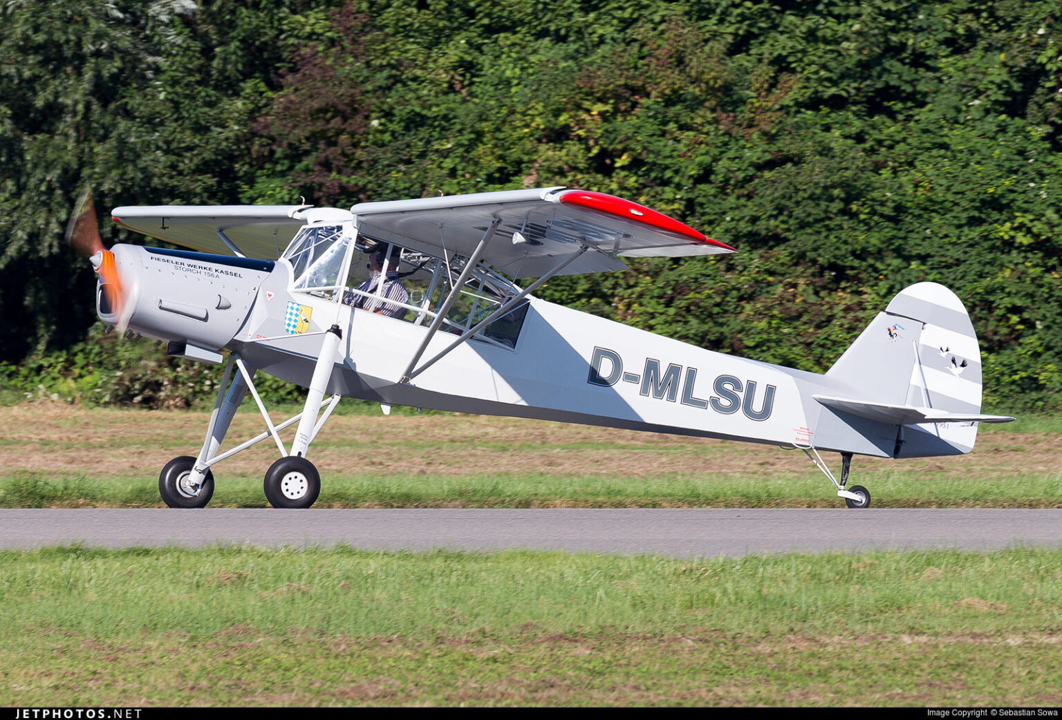 storch