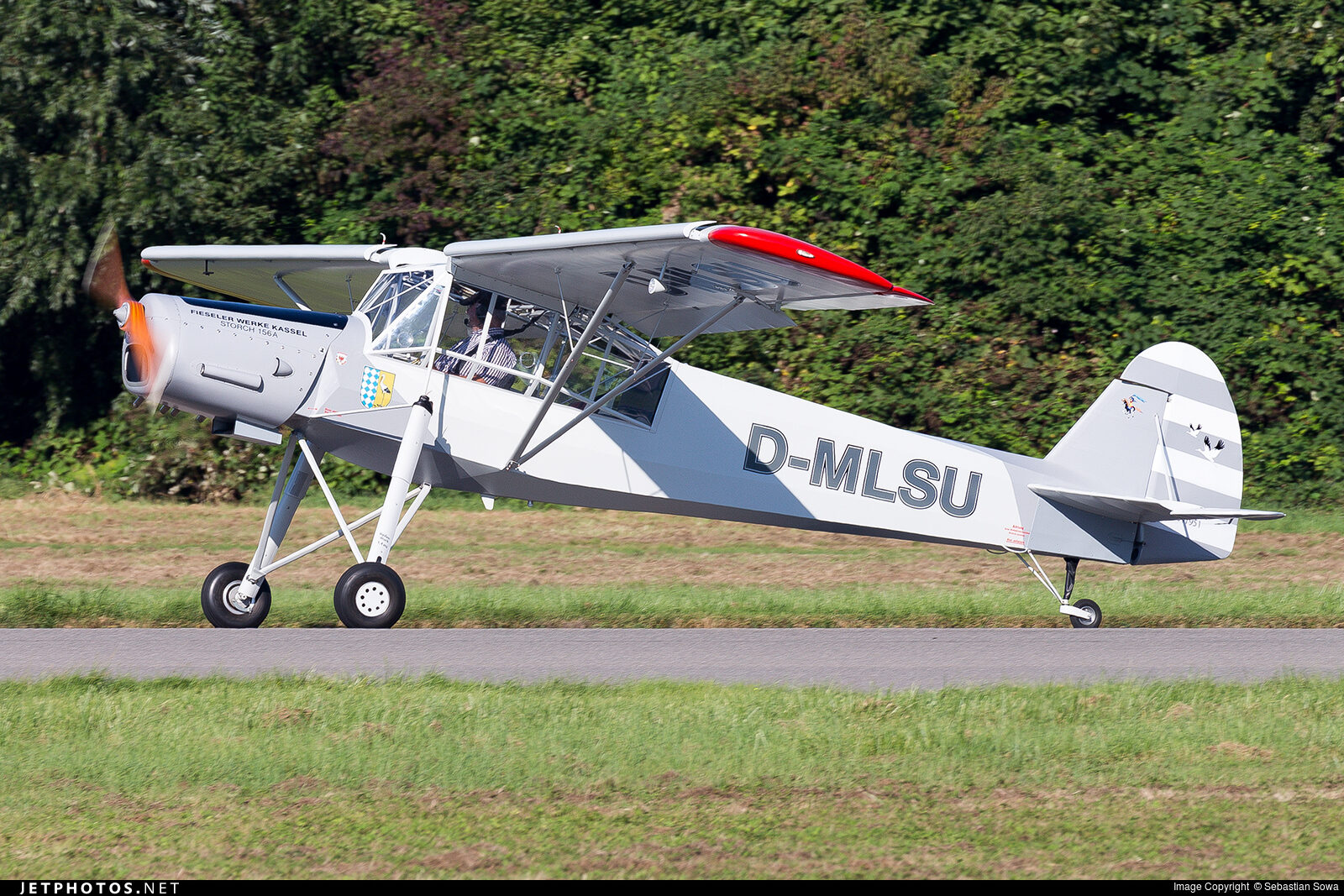 storch
